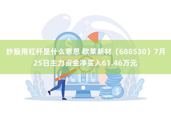 炒股用杠杆是什么意思 欧莱新材（688530）7月25日主力资金净买入61.46万元