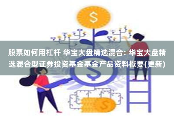 股票如何用杠杆 华宝大盘精选混合: 华宝大盘精选混合型证券投资基金基金产品资料概要(更新)