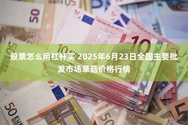 股票怎么用杠杆买 2025年6月23日全国主要批发市场草菇价格行情