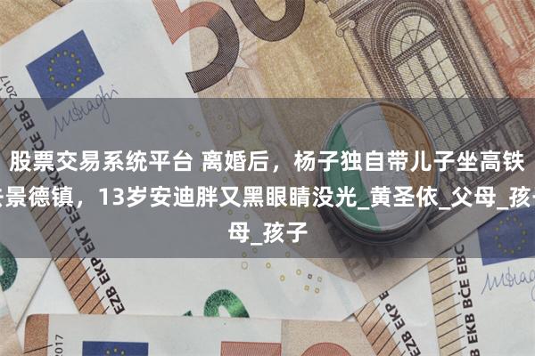股票交易系统平台 离婚后，杨子独自带儿子坐高铁去景德镇，13岁安迪胖又黑眼睛没光_黄圣依_父母_孩子