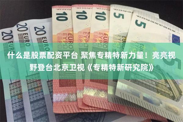 什么是股票配资平台 聚焦专精特新力量!亮亮视野登台北京卫视《专精特新研究院》