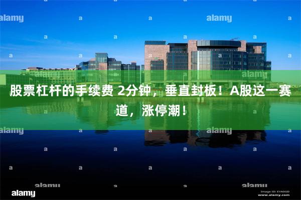 股票杠杆的手续费 2分钟，垂直封板！A股这一赛道，涨停潮！