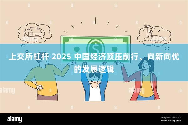 上交所杠杆 2025 中国经济顶压前行、向新向优的发展逻辑